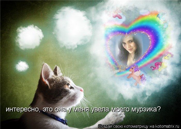 Котоматрица: интересно, это она у меня увела моего мурзика?