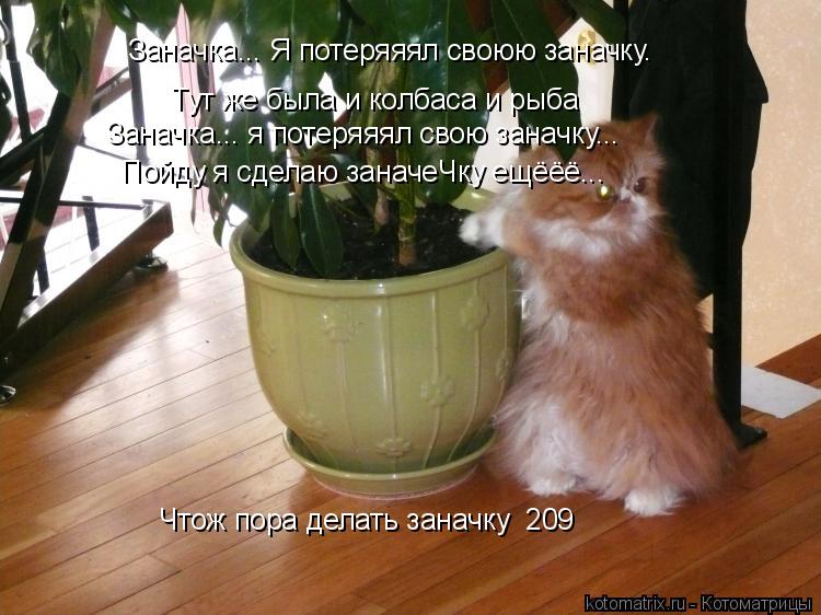 Котоматрица: Заначка... Я потеряяял своюю заначку. Тут же была и колбаса и рыба Заначка... я потеряяял свою заначку... Пойду я сделаю заначеЧку ещёёё... Чтож 