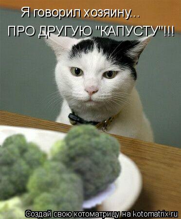 Котоматрица: Я говорил хозяину... ПРО ДРУГУЮ "КАПУСТУ"!!!