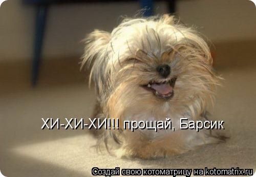 Котоматрица: ХИ-ХИ-ХИ!!! прощай, Барсик