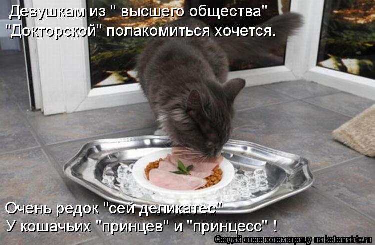 Котоматрица: Девушкам из " высшего общества" "Докторской" полакомиться хочется. Очень редок "сей деликатес"  У кошачьих "принцев" и "принцесс" !
