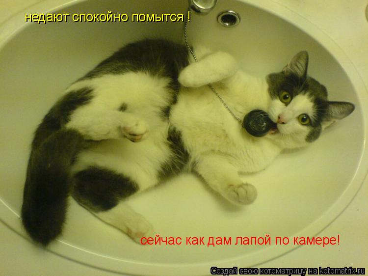 Котоматрица: недают спокойно помытся ! сейчас как дам лапой по камере!