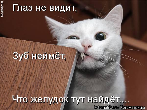 Глаз не видит, Зуб неймёт, Что желудок тут найдёт....... Котоматрица: Глаз не видит, Зуб неймёт, Что желудок тут найдёт....