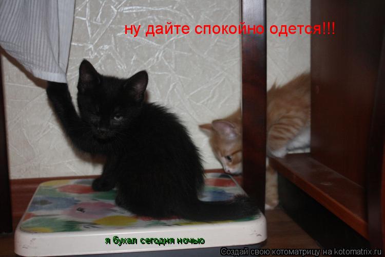 Котоматрица: ну дайте спокойно одется!!! я бухал сегодня ночью