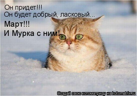 Котоматрица: Он придет!!! Он будет добрый, ласковый... Март!!! И Мурка с ним!