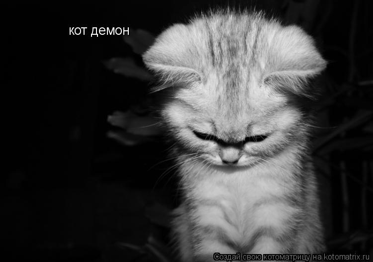 Котоматрица: кот демон