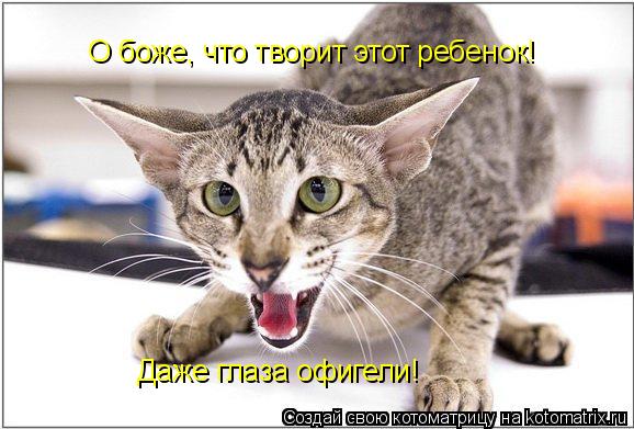 Котоматрица: О боже, что творит этот ребенок! Даже глаза офигели!