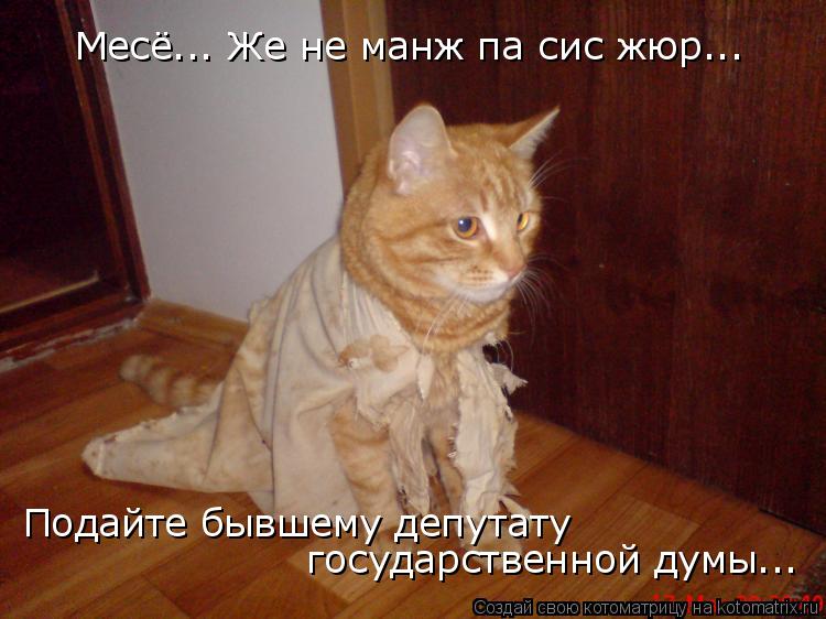 Месё... Же не манж па сис жюр... Подайте бывшему депутату государственной думы...... Котоматрица: Месё... Же не манж па сис жюр... Подайте бывшему депутату государственной думы...