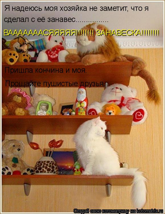 Котоматрица: Я надеюсь моя хозяйка не заметит, что я  сделал с её занавес................ ВАААААААСЯЯЯЯЯ!!!!!!!! ЗАНАВЕСКА!!!!!!!! Пришла кончина и моя.  Прощайте 