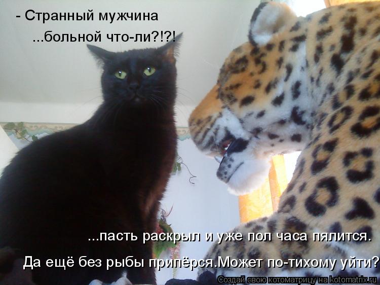 Котоматрица: - Странный мужчина ...больной что-ли?!?! ...пасть раскрыл и уже пол часа пялится. Да ещё без рыбы припёрся.Может по-тихому уйти?