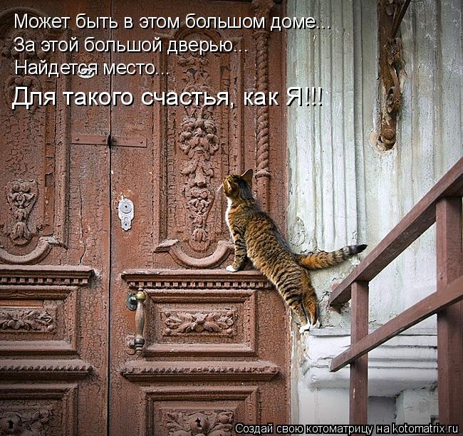 Котоматрица: Может быть в этом большом доме... За этой большой дверью... Найдется место... Для такого счастья, как Я!!!