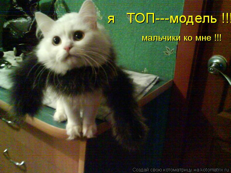Котоматрица: я   ТОП---модель !!! мальчики ко мне !!!