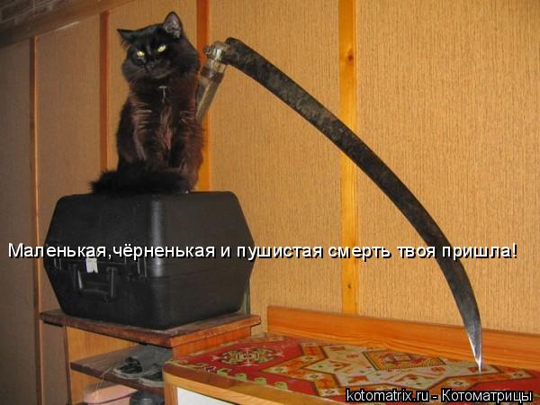 Котоматрица: Маленькая,чёрненькая и пушистая смерть твоя пришла!