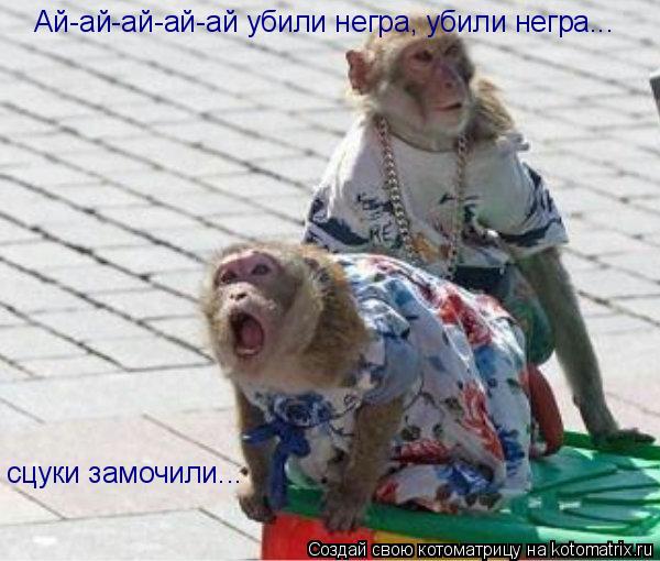 Котоматрица: Ай-ай-ай-ай-ай убили негра, убили негра... сцуки замочили...