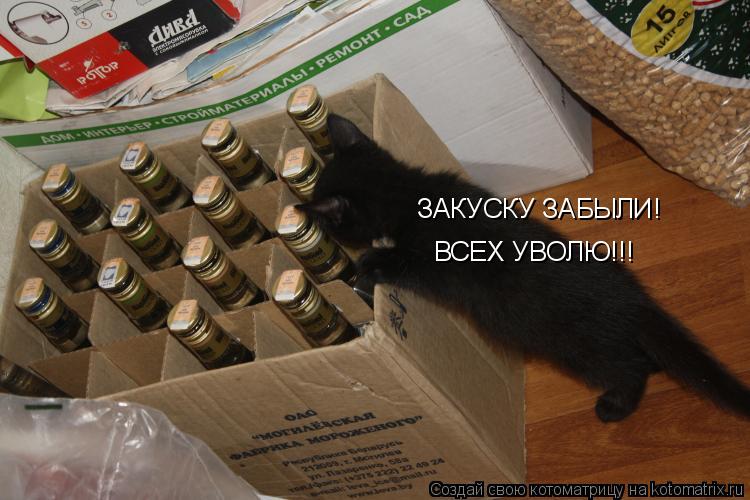 Котоматрица: ЗАКУСКУ ЗАБЫЛИ! ВСЕХ УВОЛЮ!!!