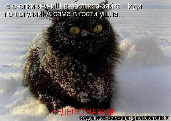 е-е-елки-и-и-и!!! в-ввот хоз-зяйка ! Иди по-погуляй! А сама в гости ушла... НЕДЕЛЮ НАЗАД!... Котоматрица: е-е-елки-и-и-и!!! в-ввот хоз-зяйка ! Иди по-погуляй! А сама в гости ушла... НЕДЕЛЮ НАЗАД!