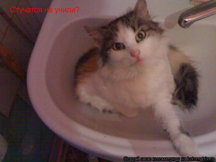Стучатся не учили?... Котоматрица: Стучатся не учили?