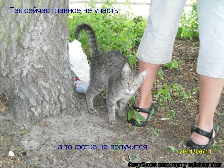 Котоматрица: -Так сейчас главное не упасть а то фотка не получится.