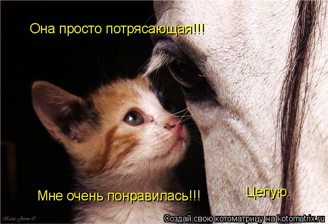 Она просто потрясающая!!! Мне очень понравилась!!! Целую.... Котоматрица: Она просто потрясающая!!! Мне очень понравилась!!! Целую.