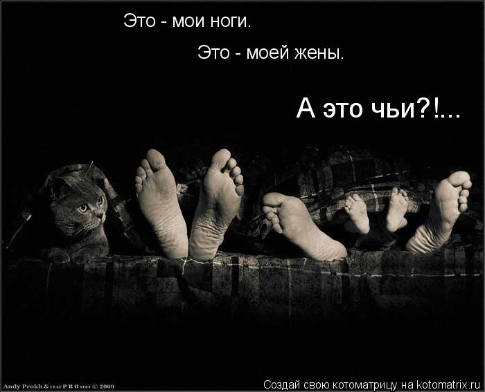Это - мои ноги. Это - моей жены. А это чьи?!... А это чьи?!...... Котоматрица: Это - мои ноги. Это - моей жены. А это чьи?!... А это чьи?!...