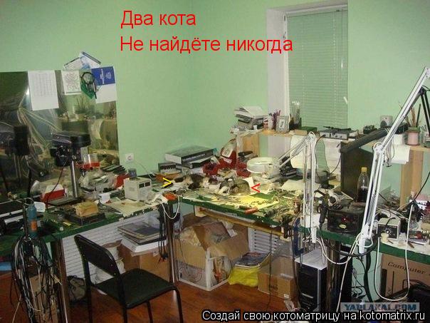 < > Два кота Не найдёте никогда >... Котоматрица: < > Два кота Не найдёте никогда >