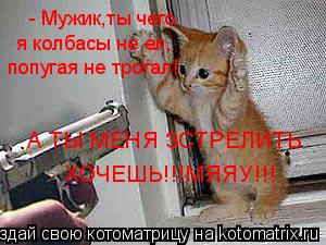 - Мужик,ты чего я колбасы не ел, попугая не трогал! А ТЫ МЕНЯ ЗСТРЕЛИТЬ ХОЧЕШЬ!!!МЯЯУ!!!... Котоматрица: - Мужик,ты чего я колбасы не ел, попугая не трогал! А ТЫ МЕНЯ ЗСТРЕЛИТЬ ХОЧЕШЬ!!!МЯЯУ!!!