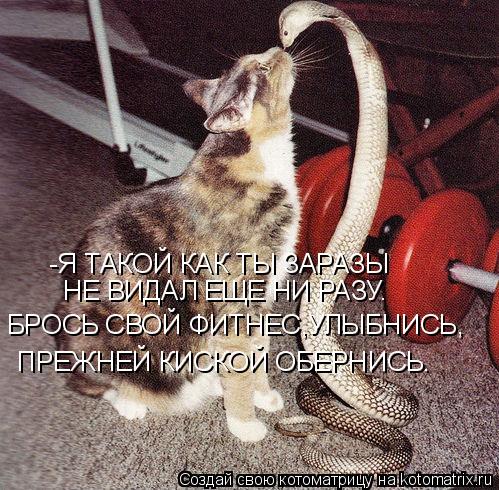 -Я ТАКОЙ КАК ТЫ ЗАРАЗЫ НЕ ВИДАЛ ЕЩЕ НИ РАЗУ. БРОСЬ СВОЙ ФИТНЕС,УЛЫБНИСЬ, ПРЕЖНЕЙ КИСКОЙ ОБЕРНИСЬ.... Котоматрица: -Я ТАКОЙ КАК ТЫ ЗАРАЗЫ НЕ ВИДАЛ ЕЩЕ НИ РАЗУ. БРОСЬ СВОЙ ФИТНЕС,УЛЫБНИСЬ, ПРЕЖНЕЙ КИСКОЙ ОБЕРНИСЬ.