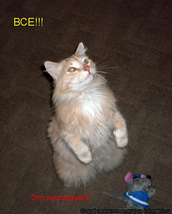 Это последняя!!! ВСЕ!!!... Котоматрица: Это последняя!!! ВСЕ!!!