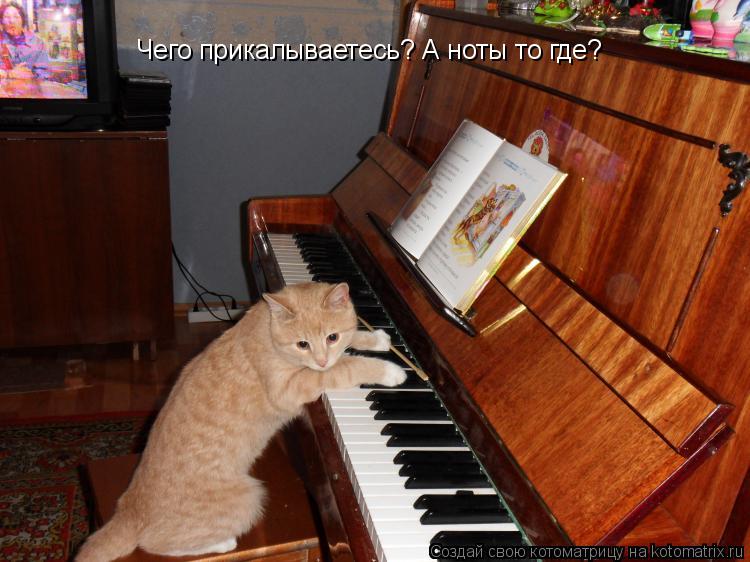 Чего прикалываетесь? А ноты то где?... Котоматрица: Чего прикалываетесь? А ноты то где?