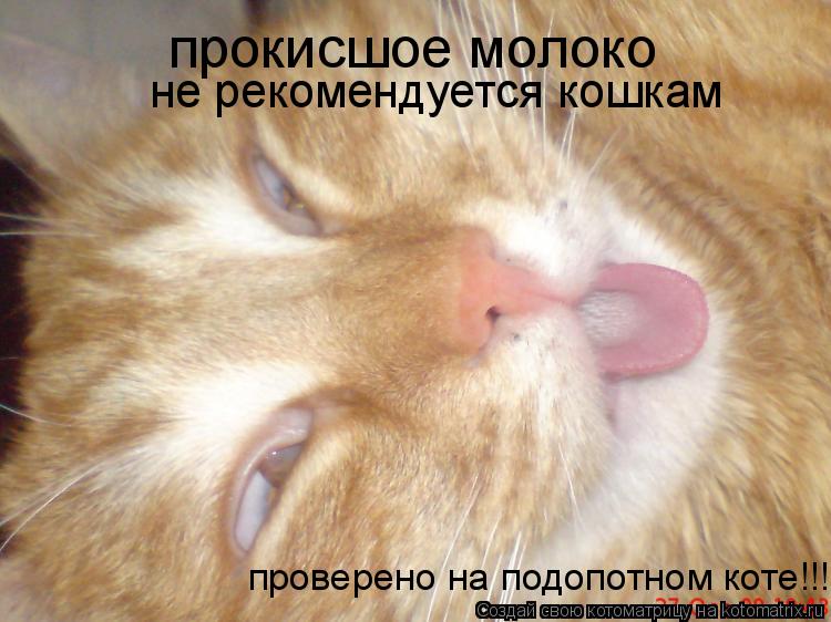 Котоматрица: прокисшое молоко не рекомендуется кошкам проверено на подопотном коте!!!