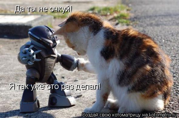 Котоматрица: Да ты не очкуй! Я так уже сто раз делал!