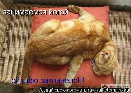 Котоматрица: занимаемся йогой ой шею заклинело!!!