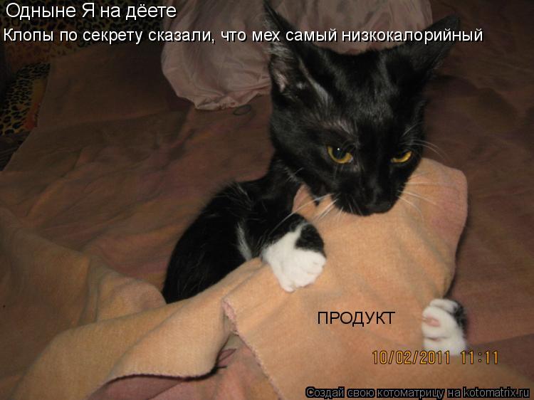 Котоматрица: Одныне Я на дёете Клопы по секрету сказали, что мех самый низкокалорийный ПРОДУКТ