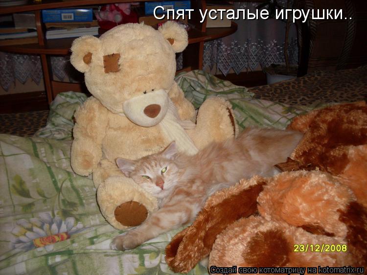 Спят усталые игрушки..... Котоматрица: Спят усталые игрушки..