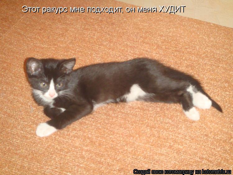 Этот ракурс мне подходит, он меня ХУДИТ... Котоматрица: Этот ракурс мне подходит, он меня ХУДИТ