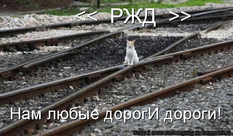 Нам любые дорогИ дороги! << РЖД >>... Котоматрица: Нам любые дорогИ дороги! << РЖД >>