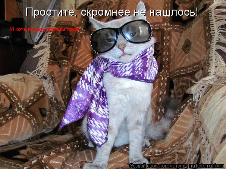 Простите, скромнее не нашлось! И кота между прочим тоже!... Котоматрица: Простите, скромнее не нашлось! И кота между прочим тоже!