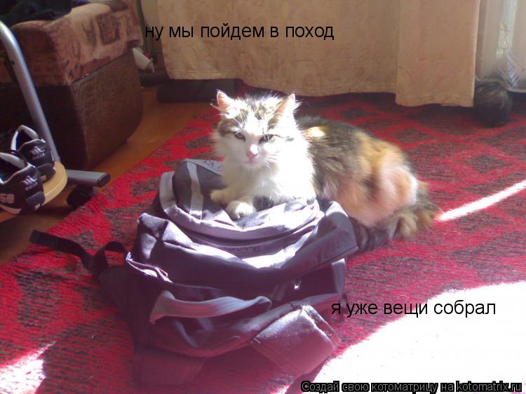 ну мы пойдем в поход я уже вещи собрал... Котоматрица: ну мы пойдем в поход я уже вещи собрал