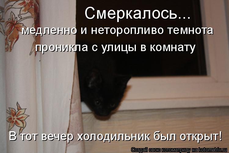 Смеркалось... медленно и неторопливо темнота проникла с улицы в комнату В тот вечер холодильник был ... Котоматрица: Смеркалось... медленно и неторопливо темнота проникла с улицы в комнату В тот вечер холодильник был открыт!