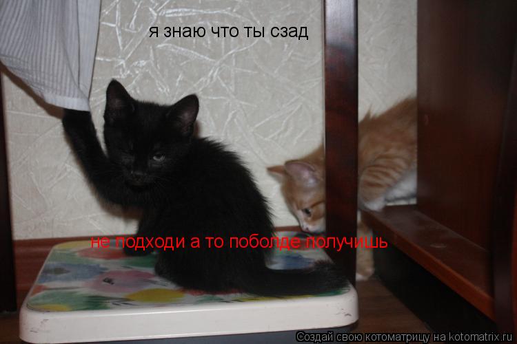не подходи а то поболде получишь я знаю что ты сзад... Котоматрица: не подходи а то поболде получишь я знаю что ты сзад
