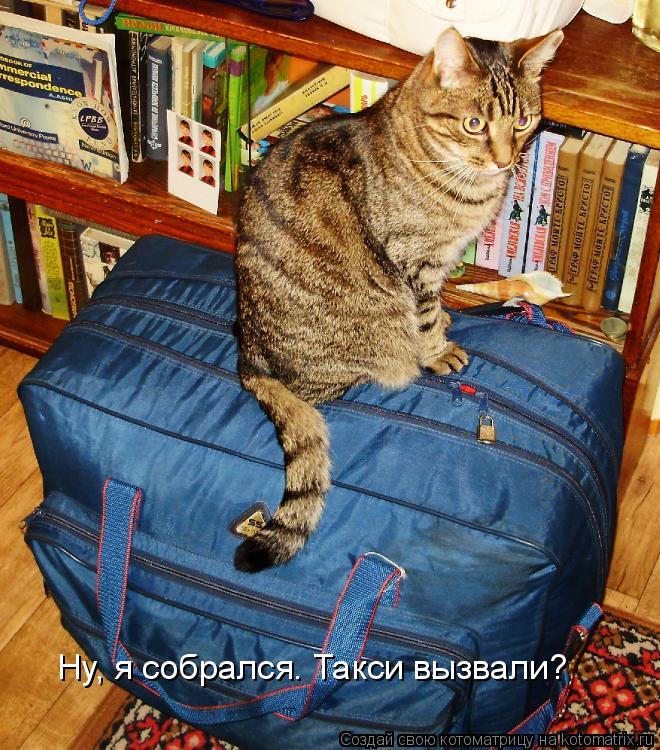Ну, я собрался. Такси вызвали?... Котоматрица: Ну, я собрался. Такси вызвали?