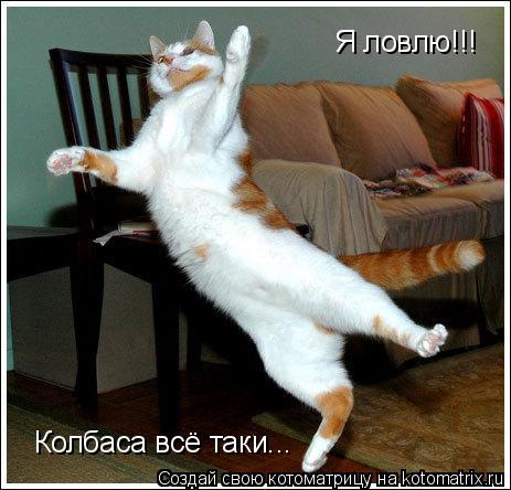Котоматрица: Я ловлю!!! Колбаса всё таки...
