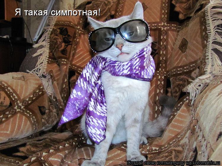 Котоматрица: Я такая симпотная!