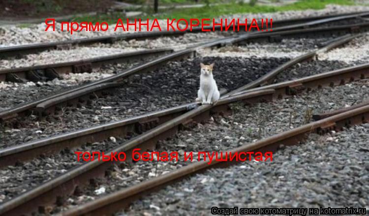 Котоматрица: Я прямо АННА КОРЕНИНА!!! только белая и пушистая