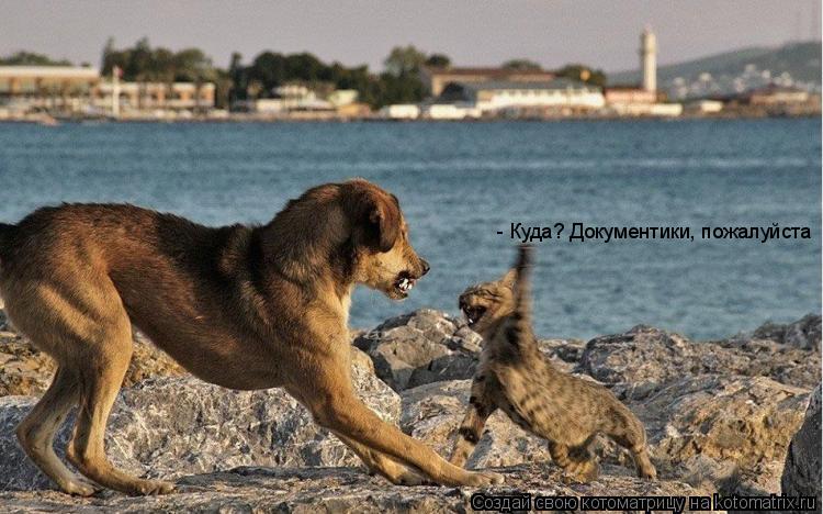 - Куда? Документики, пожалуйста... Котоматрица: - Куда? Документики, пожалуйста
