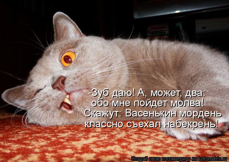 Котоматрица: Скажут: Васенькин мордень -Зуб даю! А, может, два: обо мне пойдет молва! классно съехал набекрень!