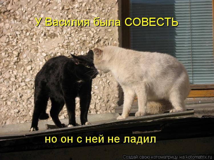 Котоматрица: У Василия была СОВЕСТЬ но он с ней не ладил