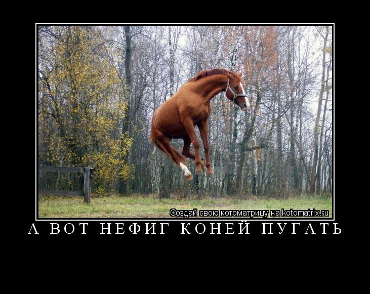 Котоматрица: а вот нефиг коней пугать 