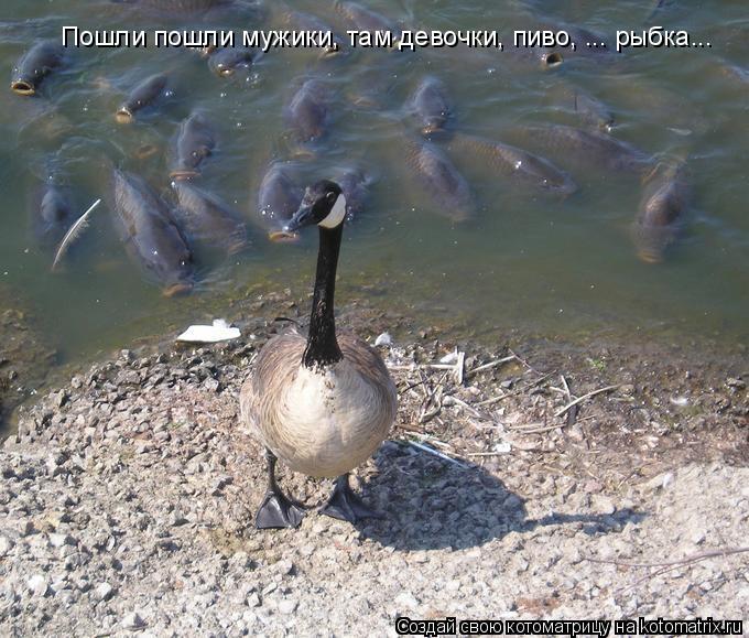 Пошли пошли мужики, там девочки, пиво, ... рыбка...... Котоматрица: Пошли пошли мужики, там девочки, пиво, ... рыбка...