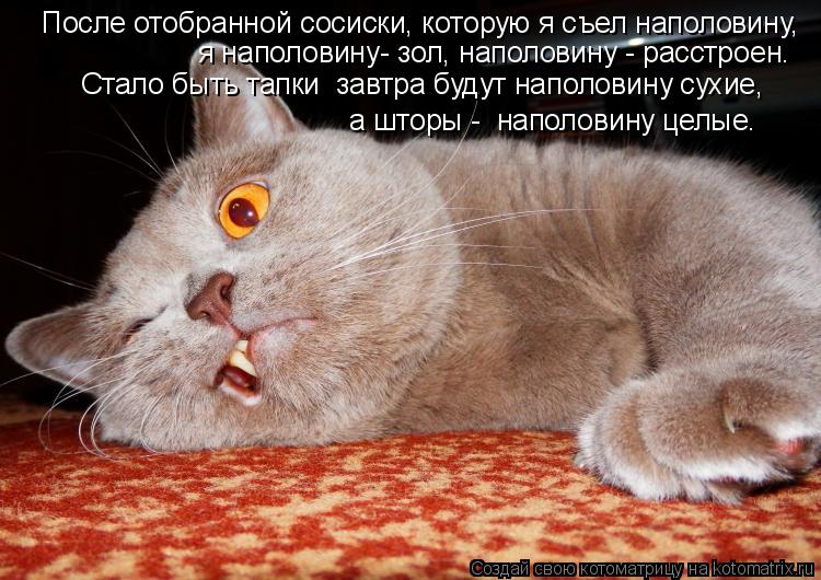 После отобранной сосиски, которую я съел наполовину, я наполовину- зол, наполовину - расстроен. Стало... Котоматрица: После отобранной сосиски, которую я съел наполовину, я наполовину- зол, наполовину - расстроен. Стало быть тапки завтра будут наполовину су